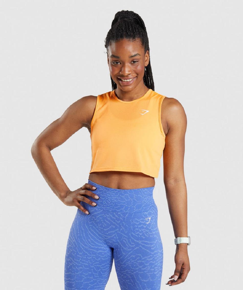 Corp Tops Gymshark Entrenamiento Mujer Albaricoque Naranjas | CO 2553ZUT